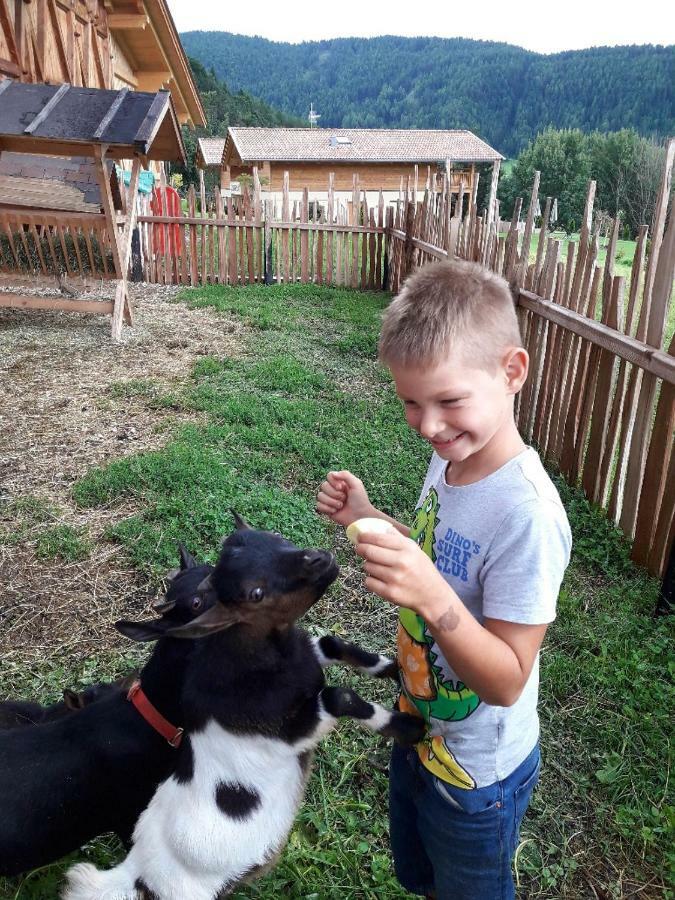 Gasserhof Chalets Meltina Luaran gambar